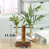 Hydroponic Glass Vase with Wooden Frame Type B Glass Vase