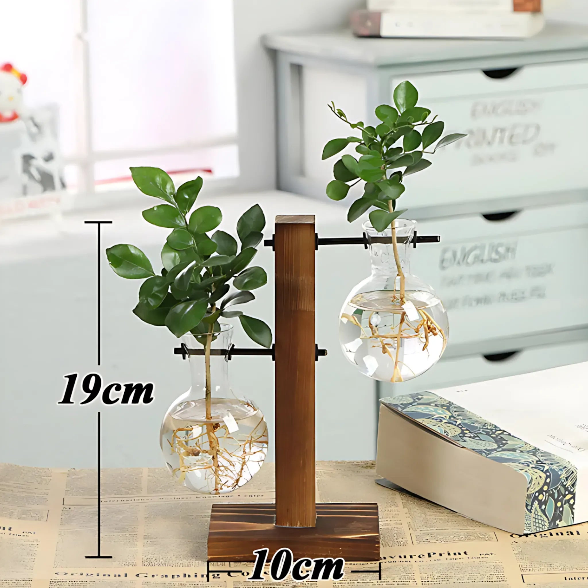 Hydroponic Glass Vase with Wooden Frame Type C Glass Vase