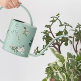 Indoor Watering Can Sage Green Hummingbird Design – 1.5L Stainless Steel Sage Green Watering Can