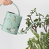 Indoor Watering Can Sage Green Hummingbird Design – 1.5L Stainless Steel Sage Green Watering Can