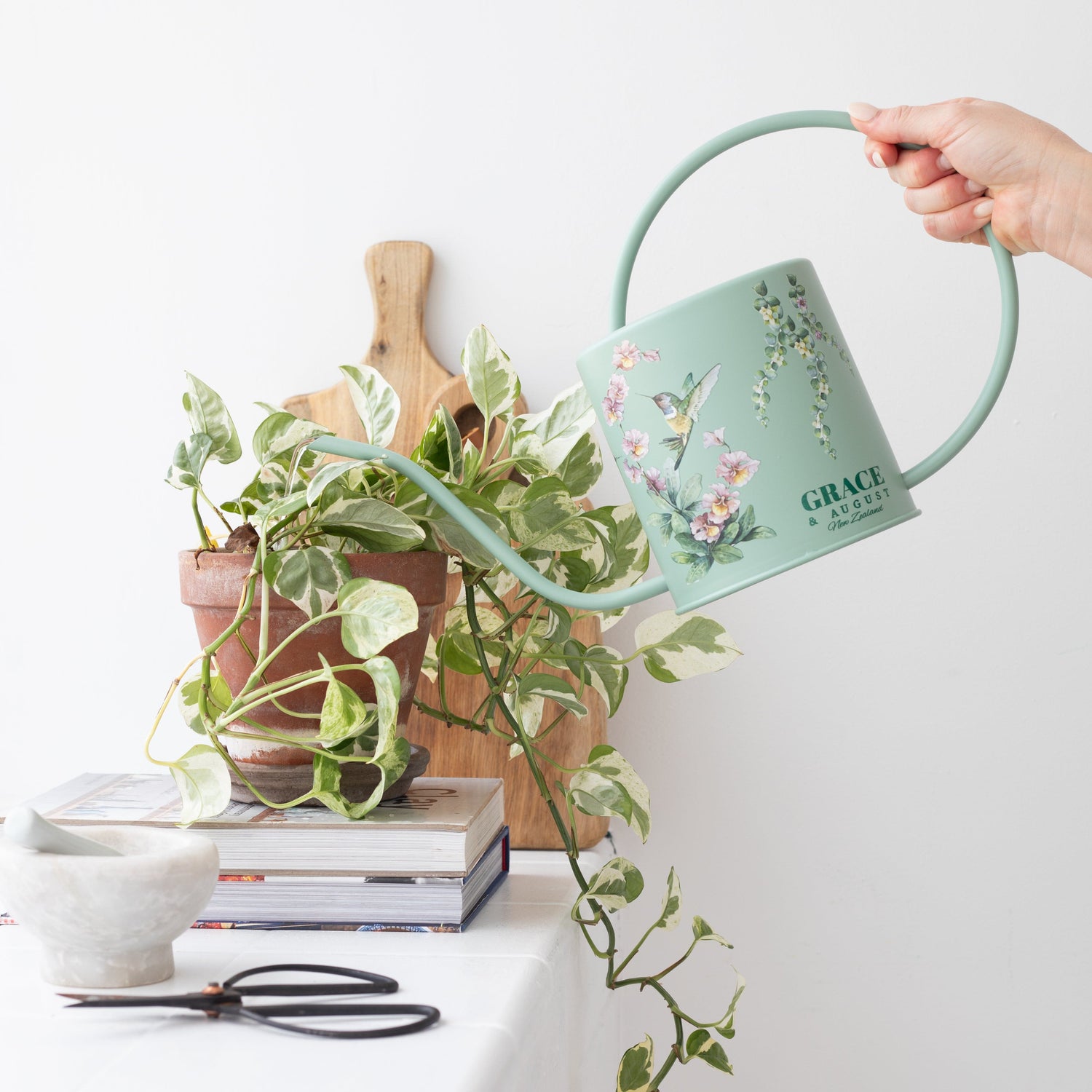 Indoor Watering Can Sage Green Hummingbird Design – 1.5L Stainless Steel Watering Can