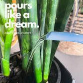 Indoor Watering Can - Stainless Steel 1.5L -Singing Hummingbirds Print Blue Watering Can