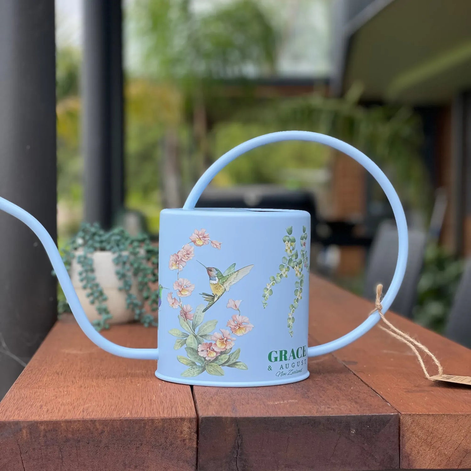 Indoor Watering Can - Stainless Steel 1.5L -Singing Hummingbirds Print Blue Watering Can
