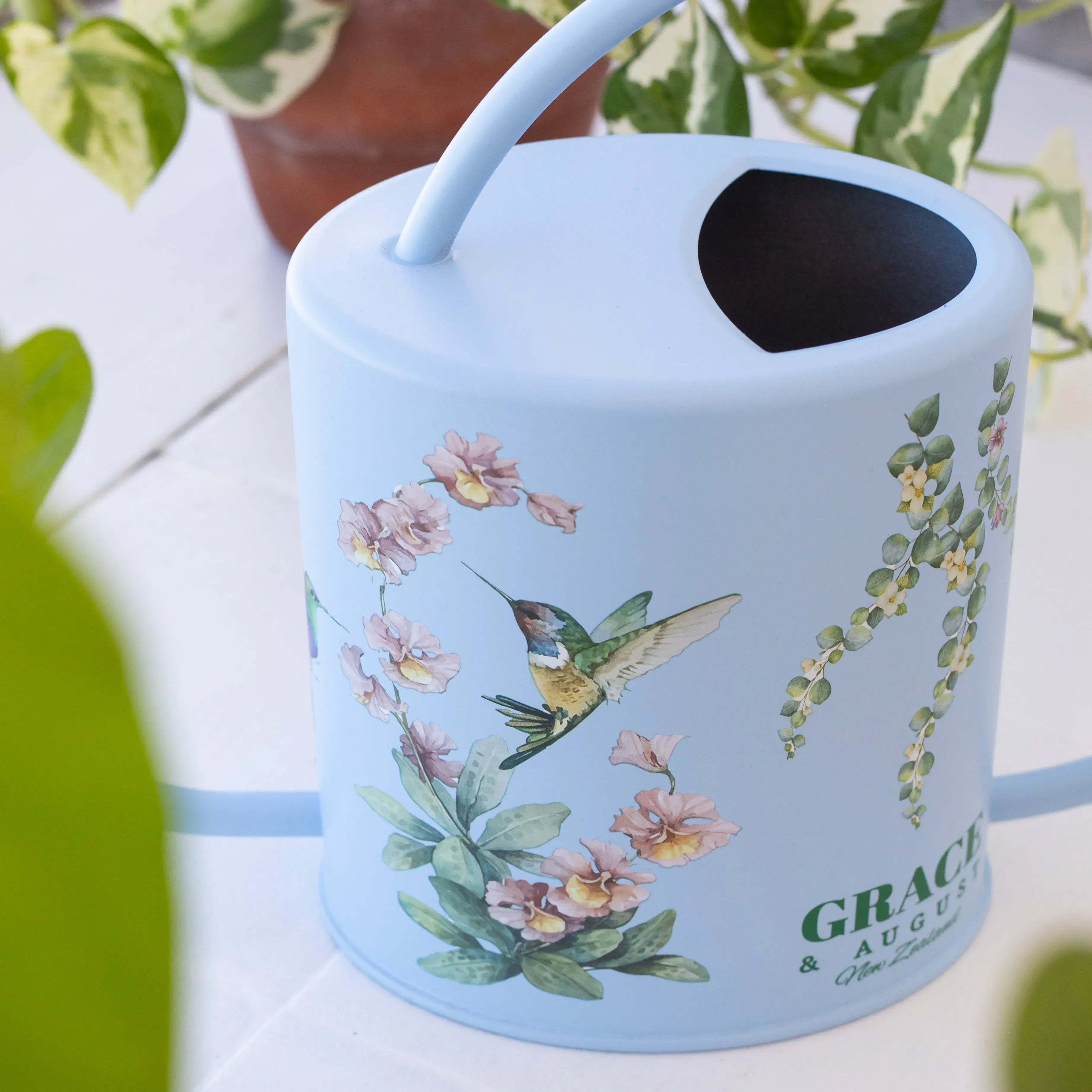 Indoor Watering Can - Stainless Steel 1.5L -Singing Hummingbirds Print Blue Watering Can
