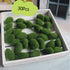 Lush Artificial Moss Stones for Decor and Crafting - 30 or 60 Pces 30pcs