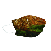 Medical Face Masks |  Disposable Masks | Autumn Forest 10x10 Pack Adult Face masks