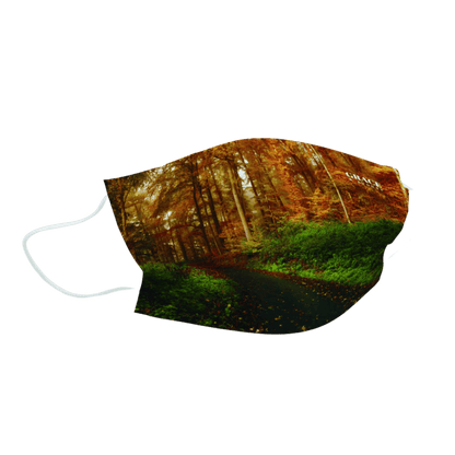 Medical Face Masks |  Disposable Masks | Autumn Forest 10x10 Pack Adult Face masks