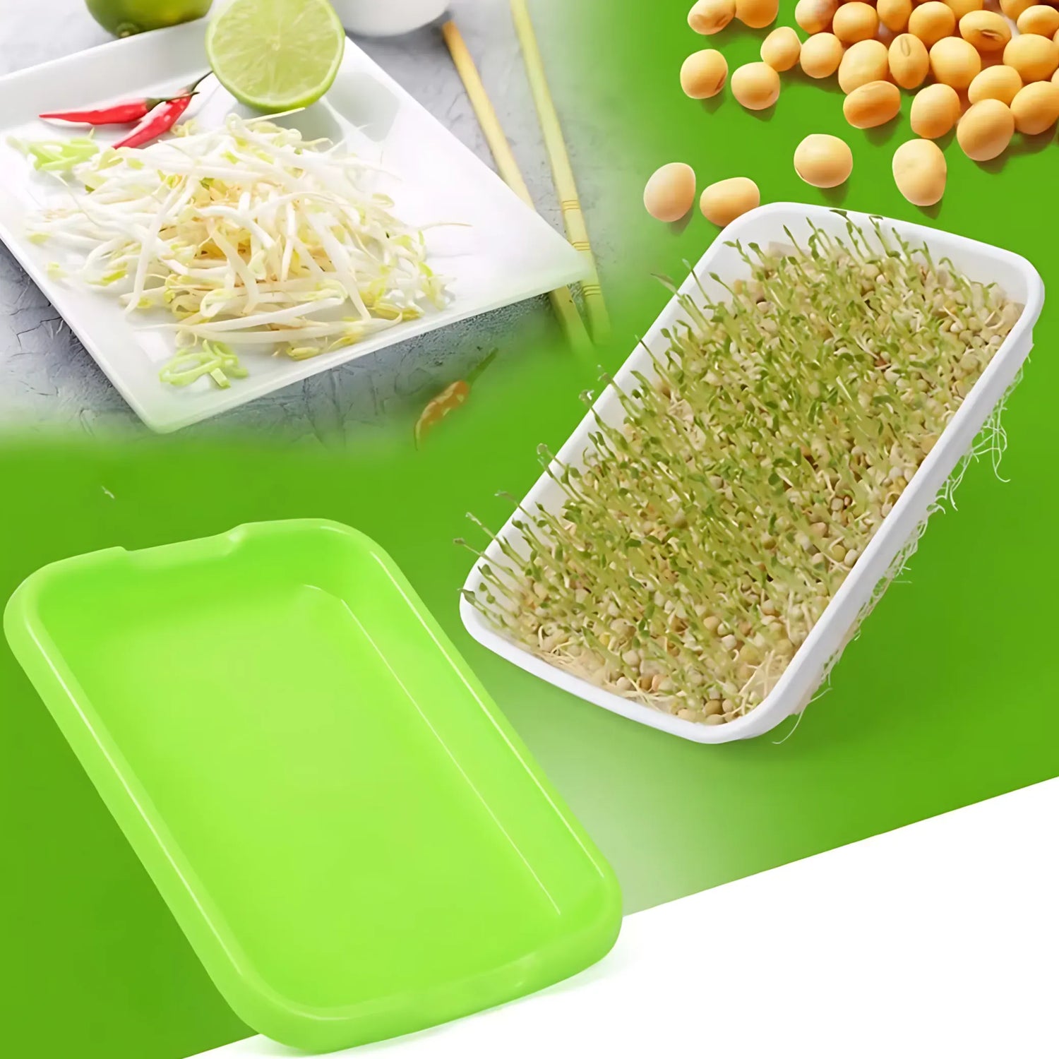 Microgreens Sprouting Tray Green Sprouting Tray
