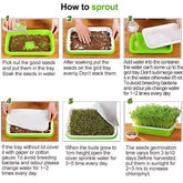 Microgreens Sprouting Tray Green Sprouting Tray