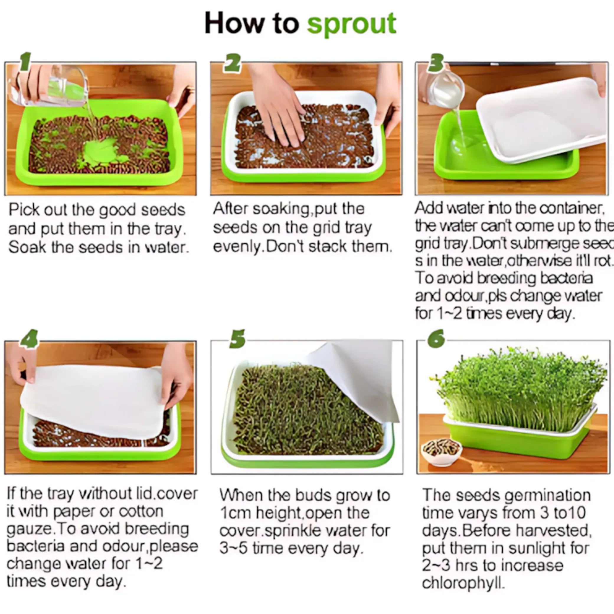 Microgreens Sprouting Tray Green Sprouting Tray