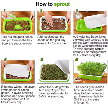 Microgreens Sprouting Tray Green Sprouting Tray
