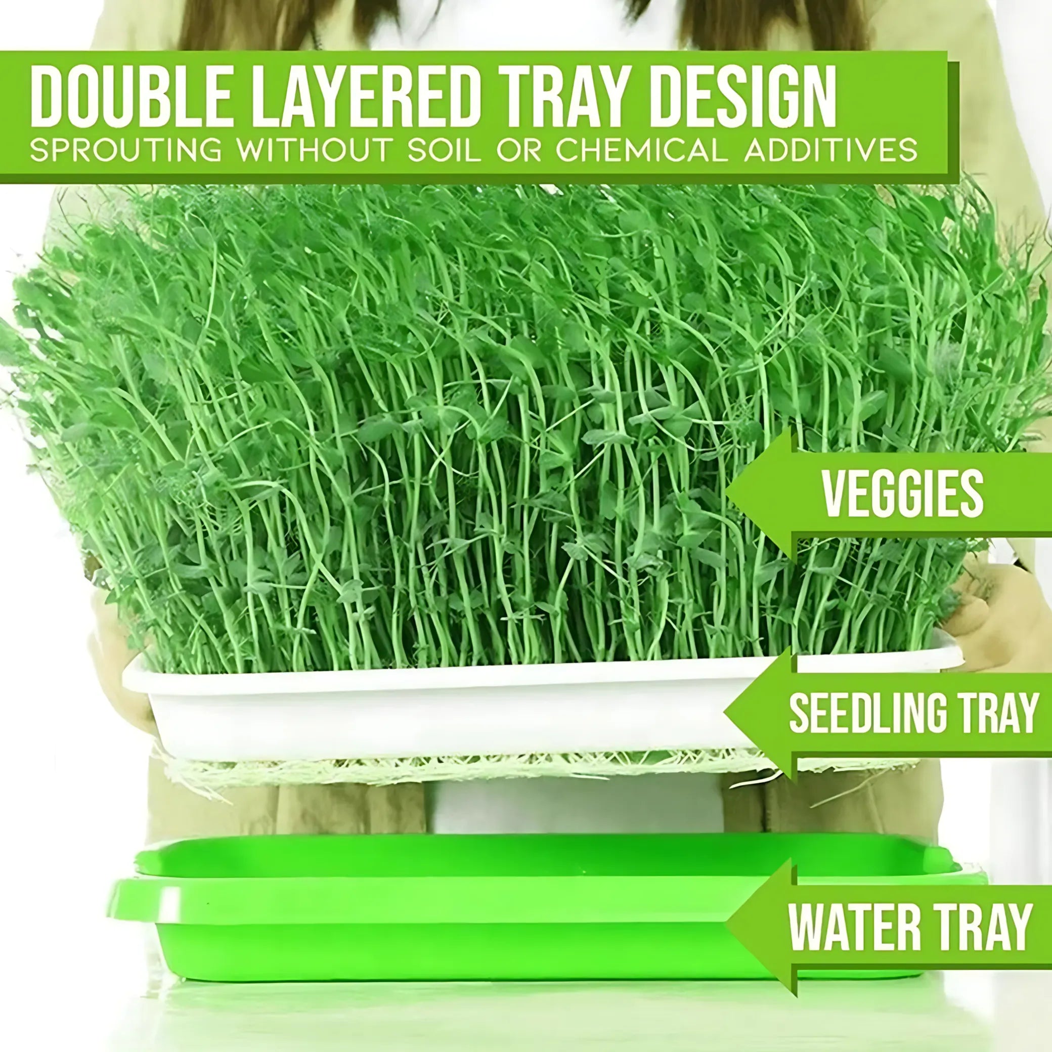 Microgreens Sprouting Tray Green Sprouting Tray