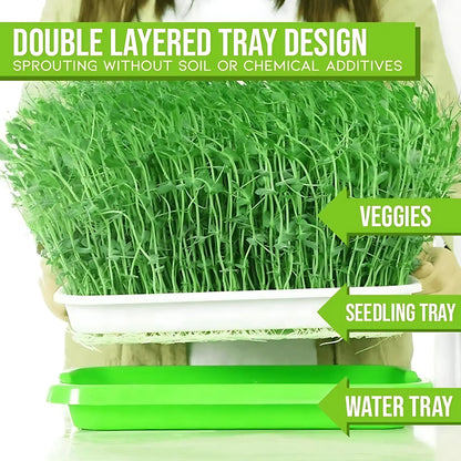 Microgreens Sprouting Tray Green Sprouting Tray