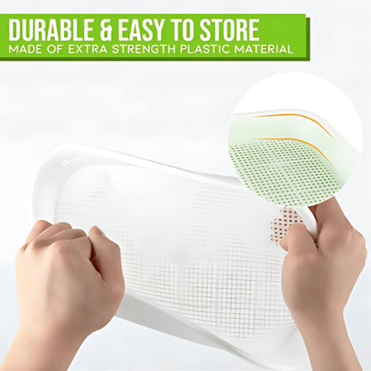 Microgreens Sprouting Tray Green Sprouting Tray