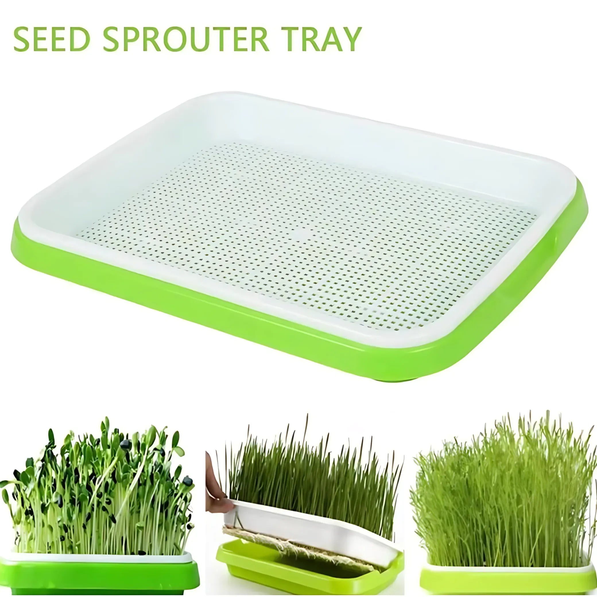 Microgreens Sprouting Tray Green Sprouting Tray
