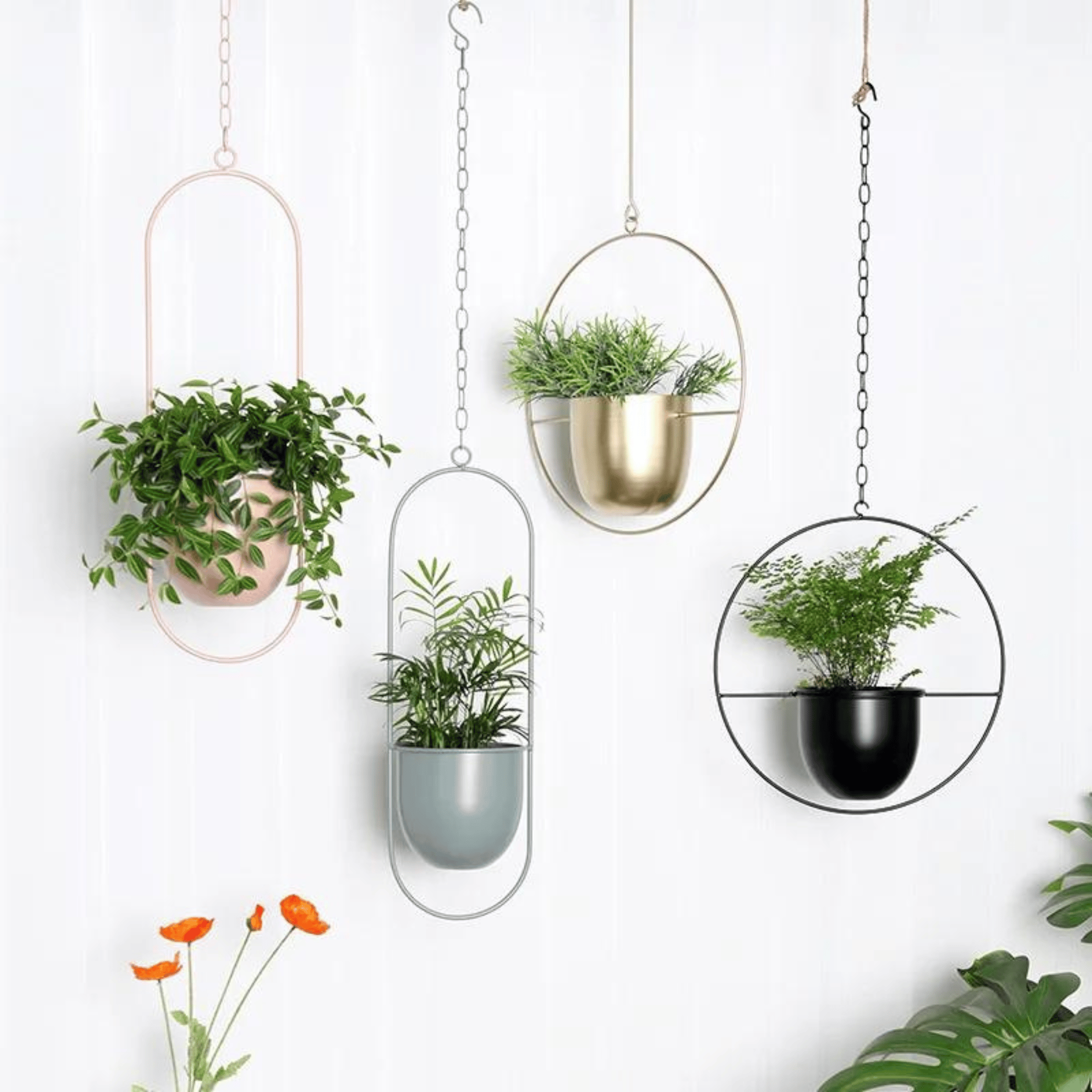 Nordic Style Metal Plant Hanger - Sturdy &amp; Durable Hanging Pots Plant holder