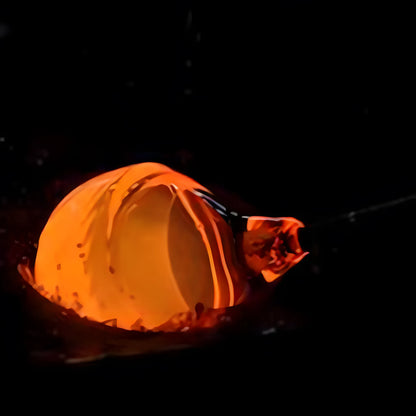 Plant Self-Watering Globes - Glass Watering Bulbs for Pot Plants - 6 pack 6Pcs Self Watering Globes