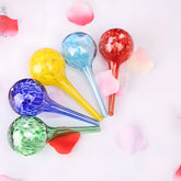 Plant Self-Watering Globes - Glass Watering Bulbs for Pot Plants - 6 pack 6Pcs Self Watering Globes