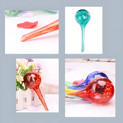 Plant Self-Watering Globes - Glass Watering Bulbs for Pot Plants - 6 pack 6Pcs Self Watering Globes