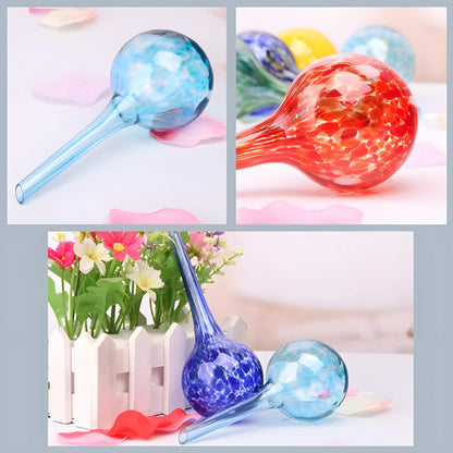 Plant Self-Watering Globes - Glass Watering Bulbs for Pot Plants - 6 pack 6Pcs Self Watering Globes