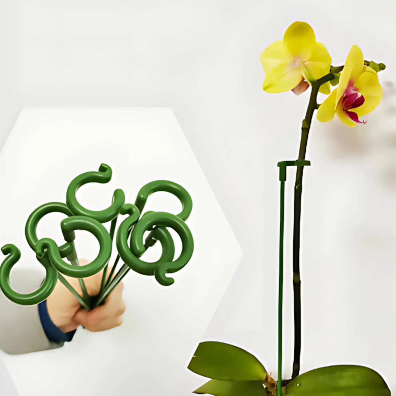 Plant Support Clips - Reusable Garden Holder for Vegetables Plant Support