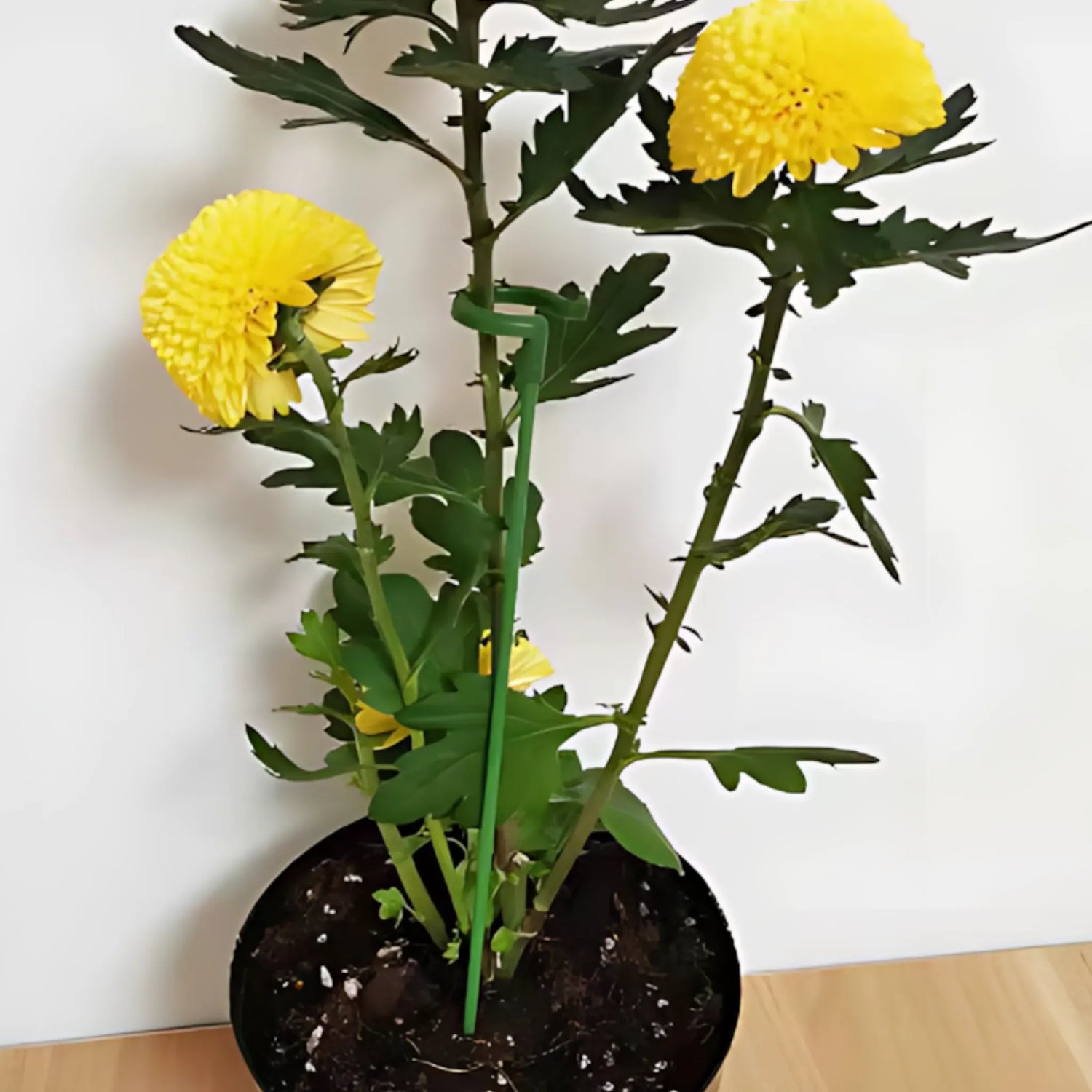 Plant Support Clips - Reusable Garden Holder for Vegetables Plant Support