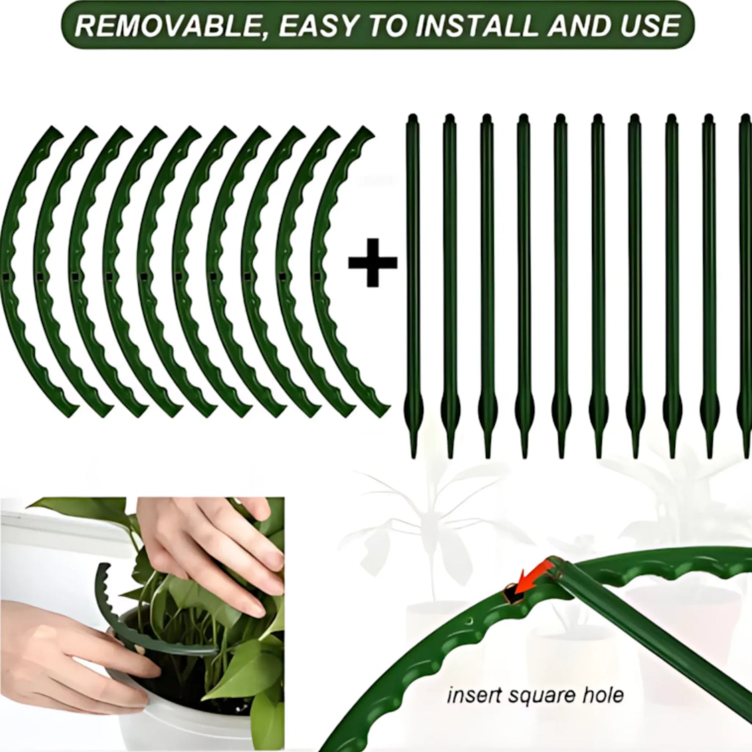 Plant Support Stakes - Durable Plastic Holders for Garden &amp; Greenhouse Plant Support