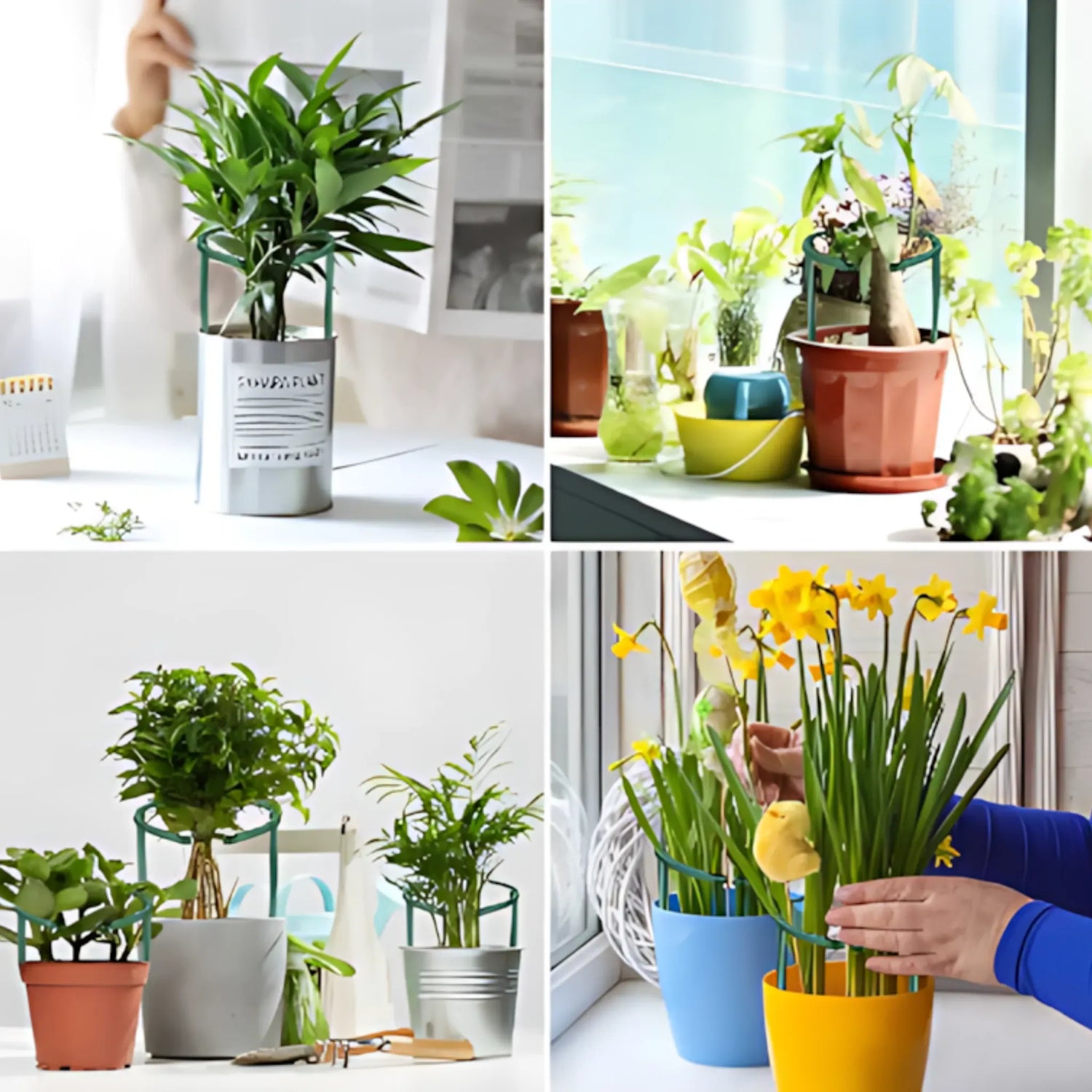 Plant Support Stakes - Durable Plastic Holders for Garden &amp; Greenhouse Plant Support