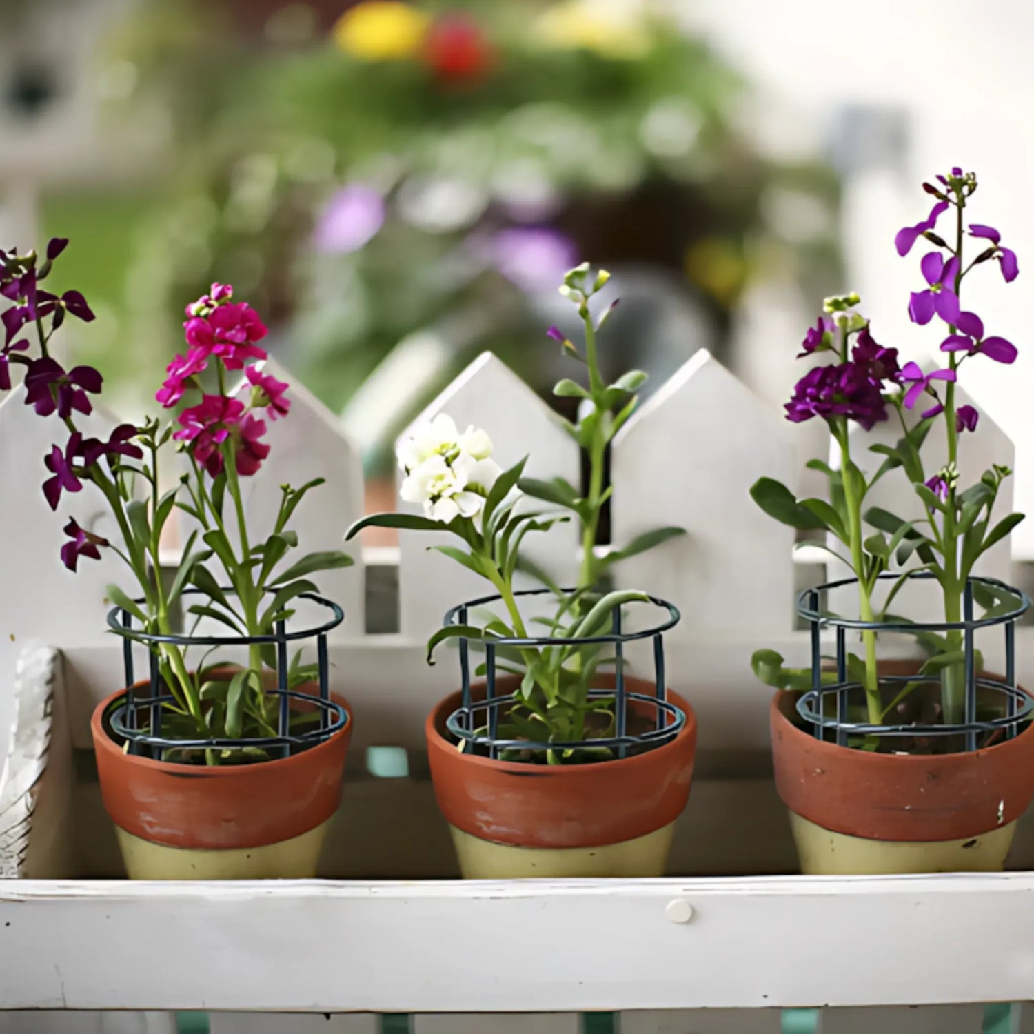 Plant Support Stakes - Durable Plastic Holders for Garden &amp; Greenhouse Plant Support