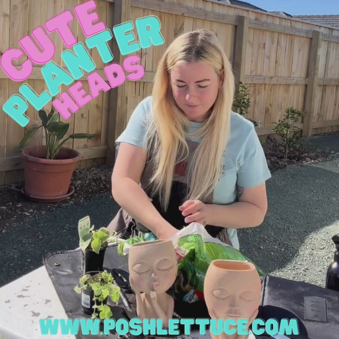 Face Flower Pot Head Planter – Clearance (One Only)