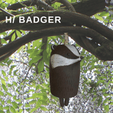 Rustic Animal Wind Chimes - Charming Small Animal Wind Chimes for Doors, Windows, and Garden H-Badger Animal Wind Chimes