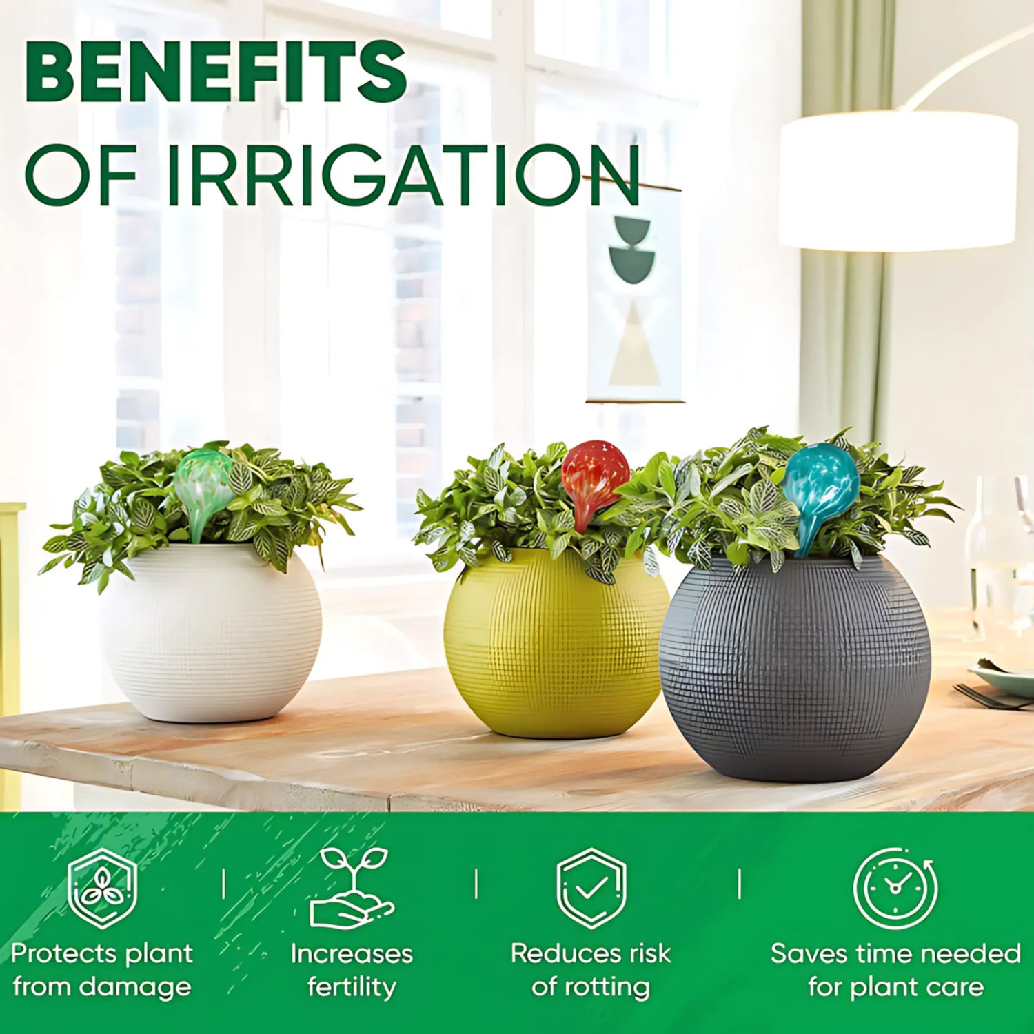 Self-Watering Globes - Automatic Plant Watering Set (6 Pcs) Self Watering Globes