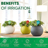 Self-Watering Globes - Automatic Plant Watering Set (6 Pcs) Self Watering Globes