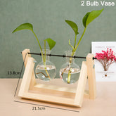 Small Hydroponic Plants Vases with Wooden Stand As shown 2 Flower Vase
