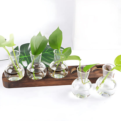 Small Hydroponic Plants Vases with Wooden Stand Flower Vase