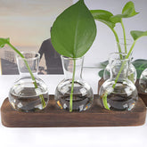 Small Hydroponic Plants Vases with Wooden Stand Flower Vase