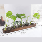 Small Hydroponic Plants Vases with Wooden Stand L Flower Vase