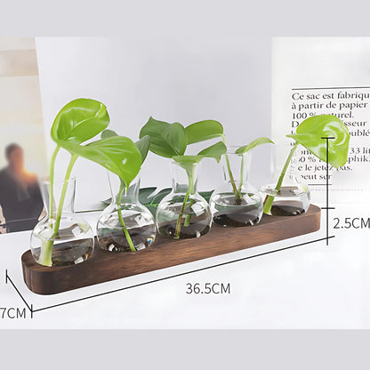 Small Hydroponic Plants Vases with Wooden Stand L Flower Vase