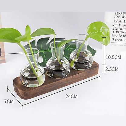 Small Hydroponic Plants Vases with Wooden Stand M Flower Vase