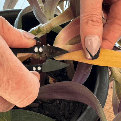 Small Plant Tool Kit for Succulents | 13 Pce with Muslin bag House Plant tools