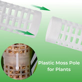 Sphagnum Moss Pole Plant Support