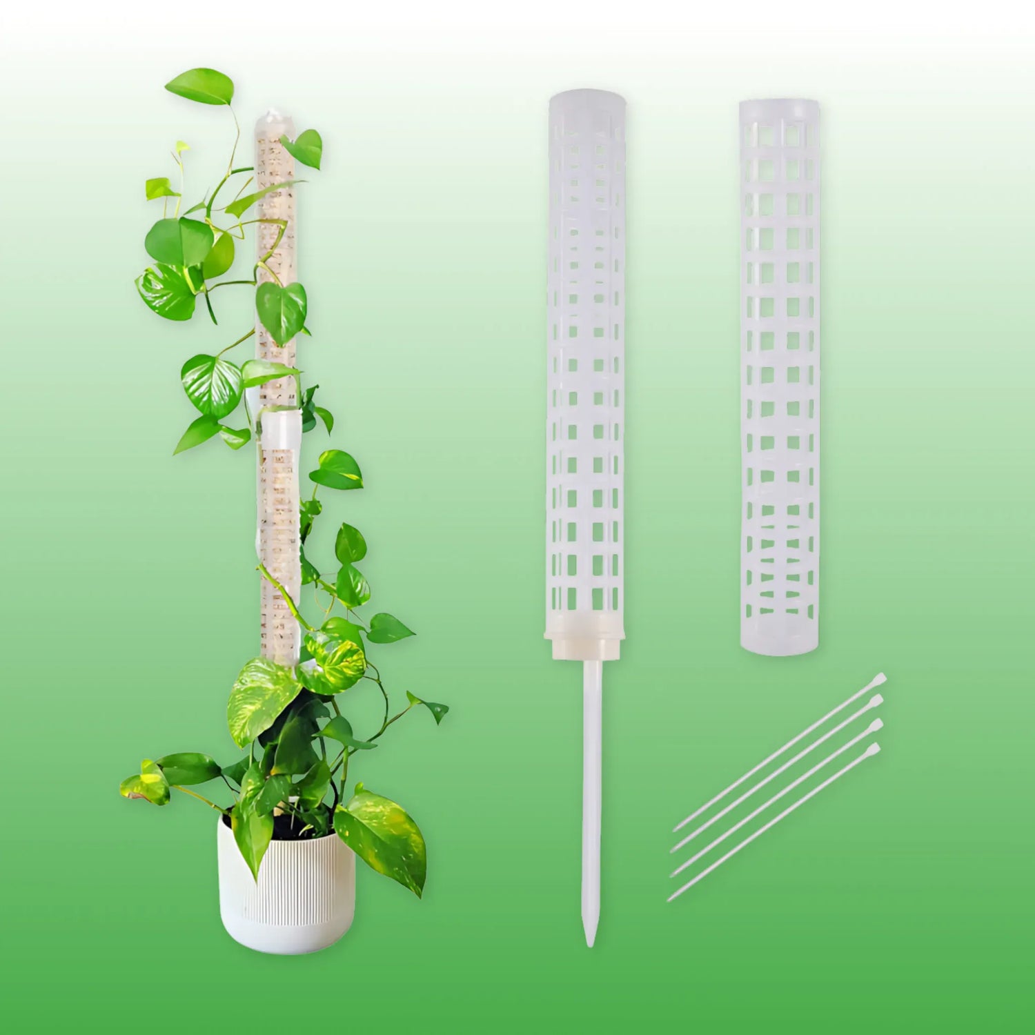 Sphagnum Moss Pole Plant Support