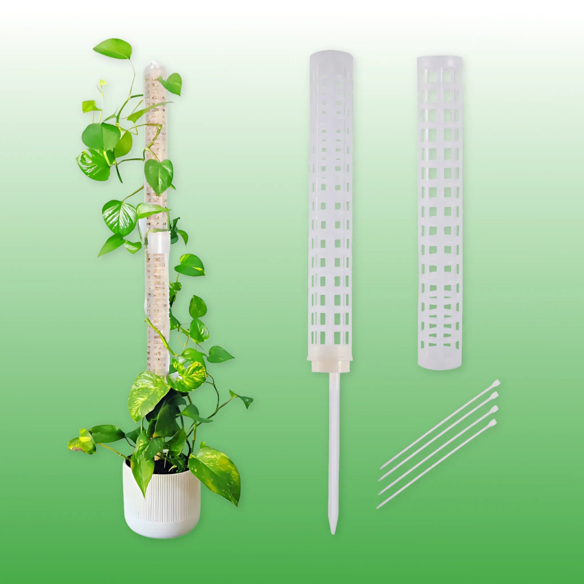 Sphagnum Moss Pole Plant Support