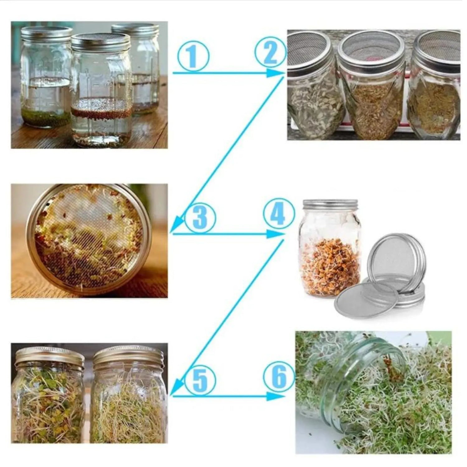 Sprouting Jar Accessories - Wide Mouth Mason Jar Strainer Lids &amp; Adjustable Stands Sprout Set