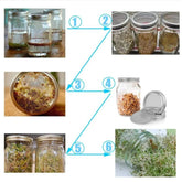 Sprouting Jar Accessories - Wide Mouth Mason Jar Strainer Lids & Adjustable Stands Sprout Set