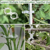 Tomato Plant Support Clips - Durable & Easy-to-Use Trellis Clips Plant Support