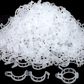 Tomato Plant Support Clips - Durable & Easy-to-Use Trellis Clips White / 50pcs Plant Support