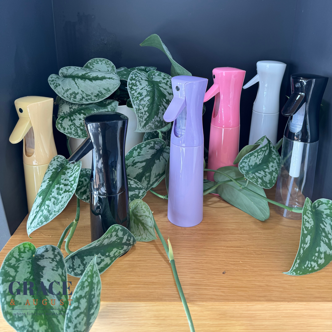 Ultra-fine Mist Spray Bottles -300ml - Clearance Spray Mist Bottle