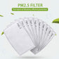 Child Size 30Pk Pm 2.5 Activated Carbon Face Mask Filters - IN STOCK
