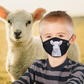 NZ Edition Premium Child Face Mask Set - 3 Layer 100% Cotton Reusable Face Mask  - Little Lamb Child